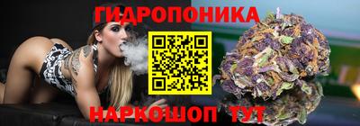 PSILOCYBIN Краснознаменск
