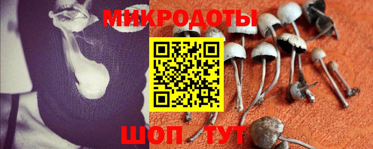 Галлюциногенные грибы мухоморы Всеволожск
