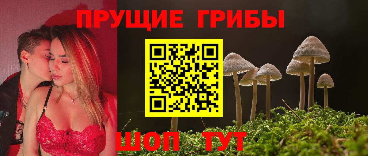 Всеволожск  где можно купить   Вход с VPN  Псилоцибиновые грибы MAGIC MUSHROOMS  Псилоцибиновые грибы мицелий 